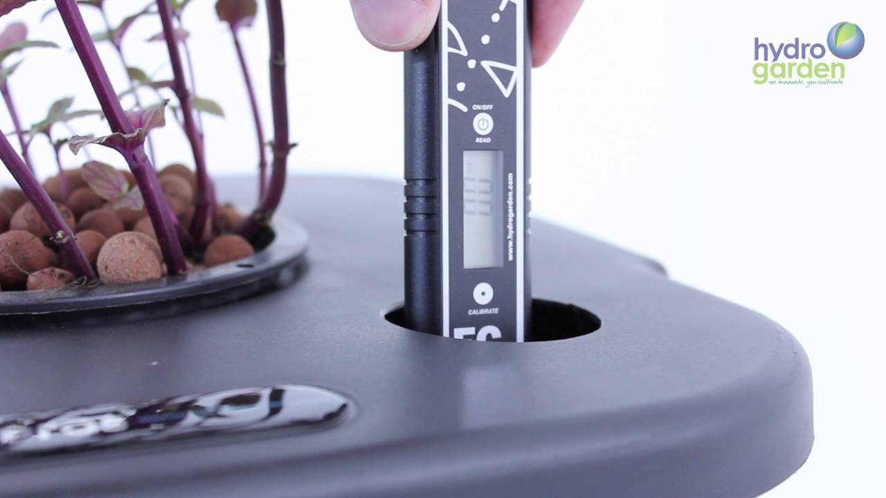 ESSENTIALS EC Meter