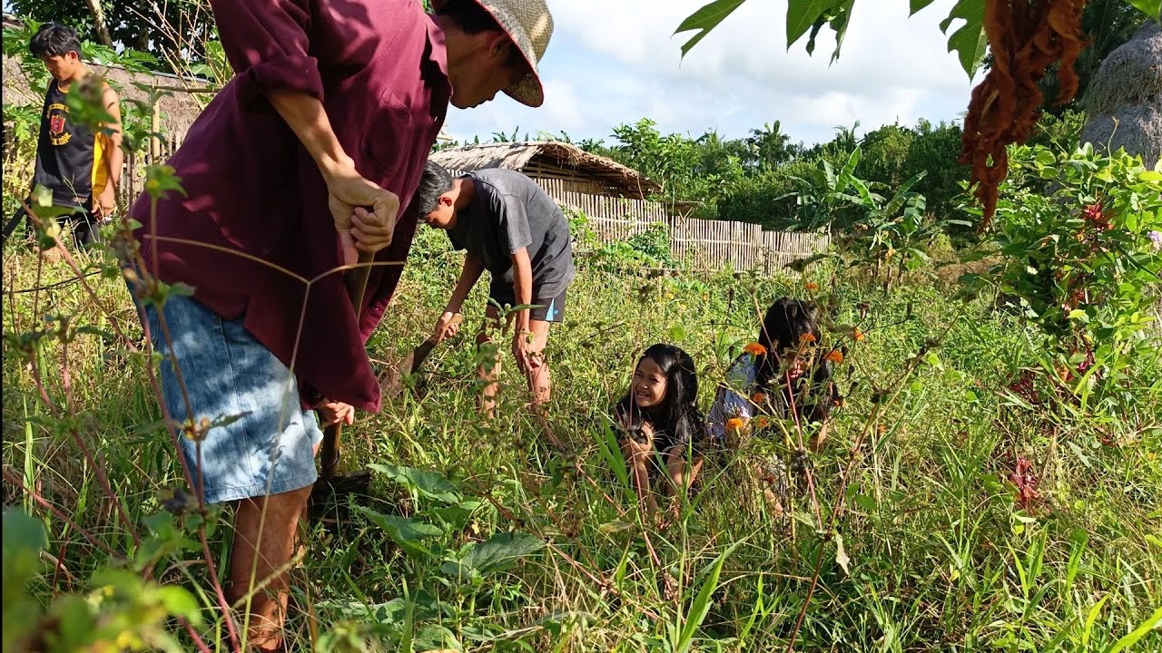 Plant, Harvest, Cook, Share: Family Moments Over Fresh Home-Grown Food