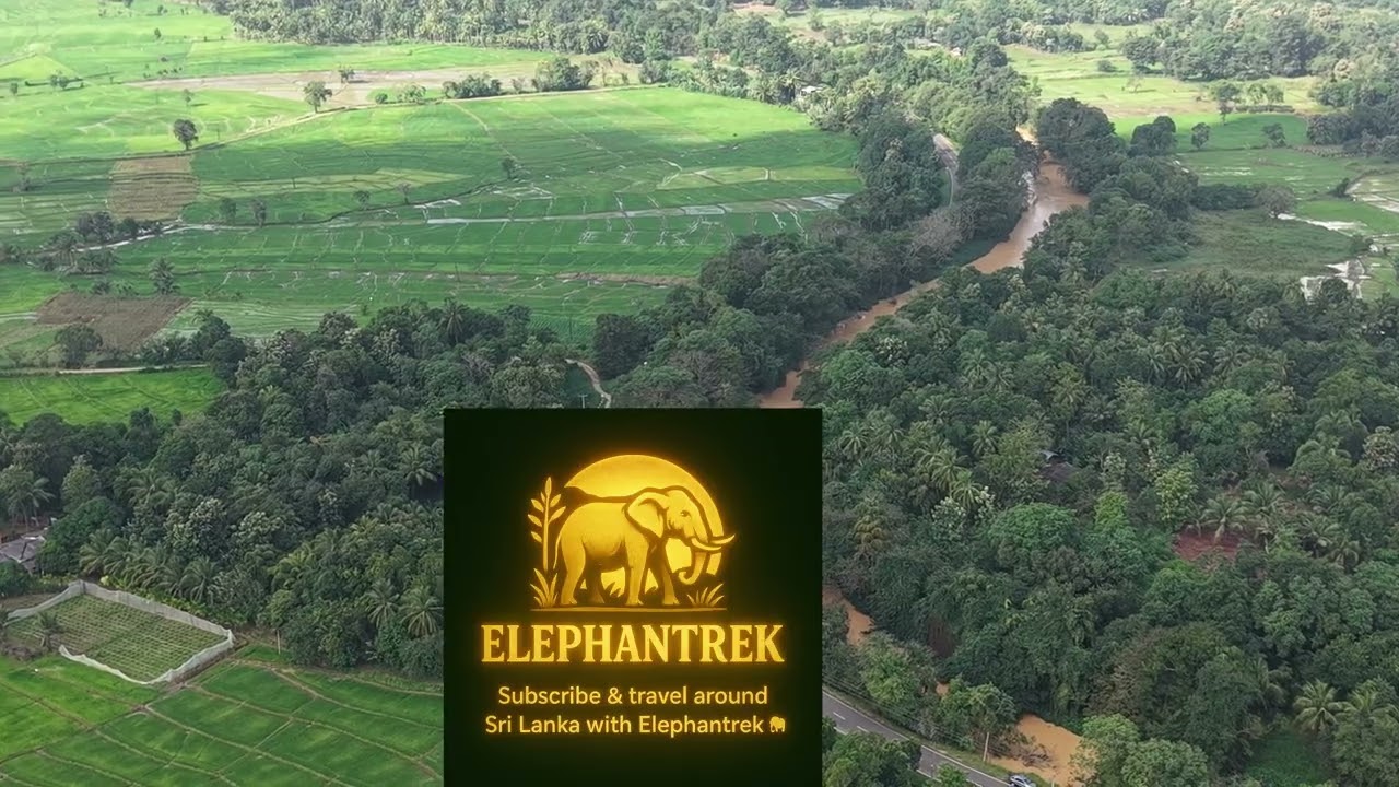 සෞභාග්‍යයේ නගරය ඇලහැර