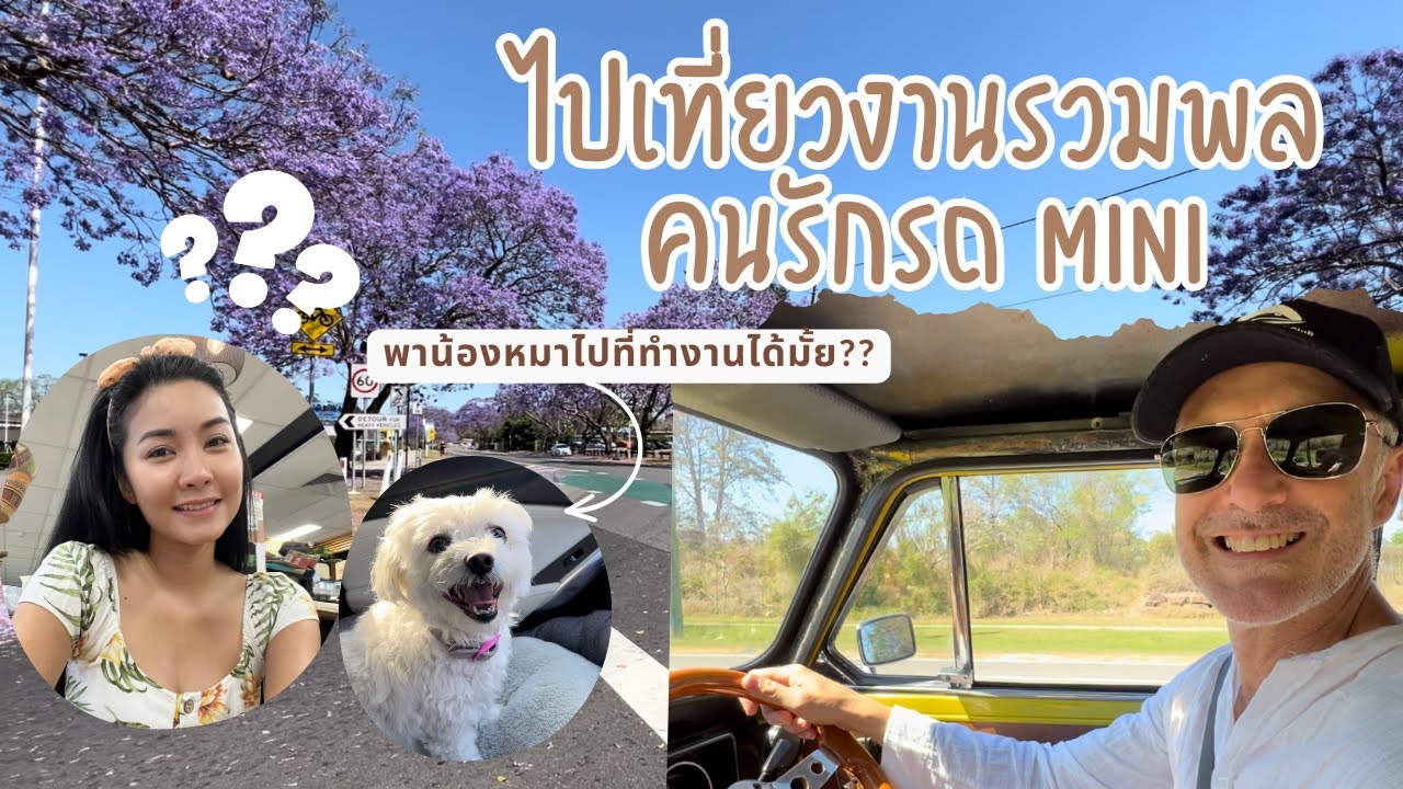 แฟนฝรั่งพาไปเที่ยวงานรวมพลคนรักรถมินิ แม่ย่าไม่สบาย พาน้องหมาไปที่ทำงานได้มั้ย?#ชีวิตในออสเตรเลีย