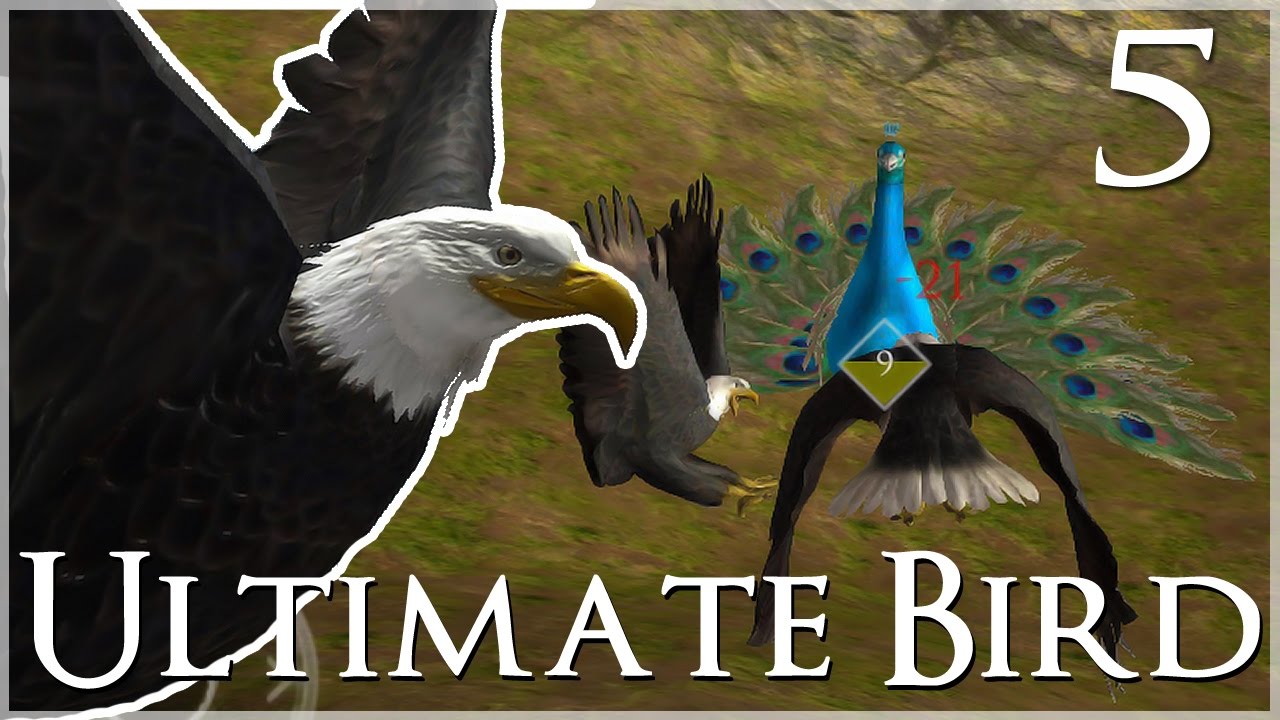 Приставание к Королеве Павлинов!! 🐦 Ultimate Bird Simulator - Эпизод №5