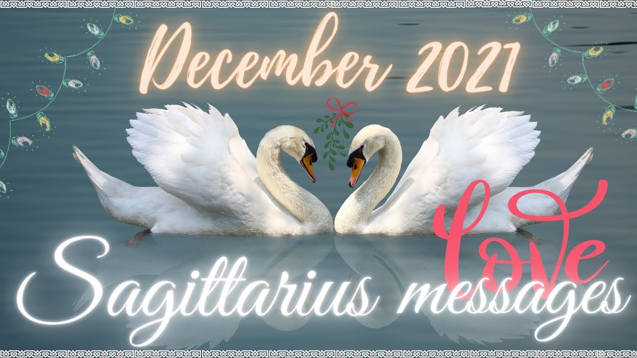 SAGITTARIUS LOVE MESSAGES 💌 SAG!! THEY ARE PLOTTING A REUNION!!! 😱🤩 LOVE TAROT DECEMBER