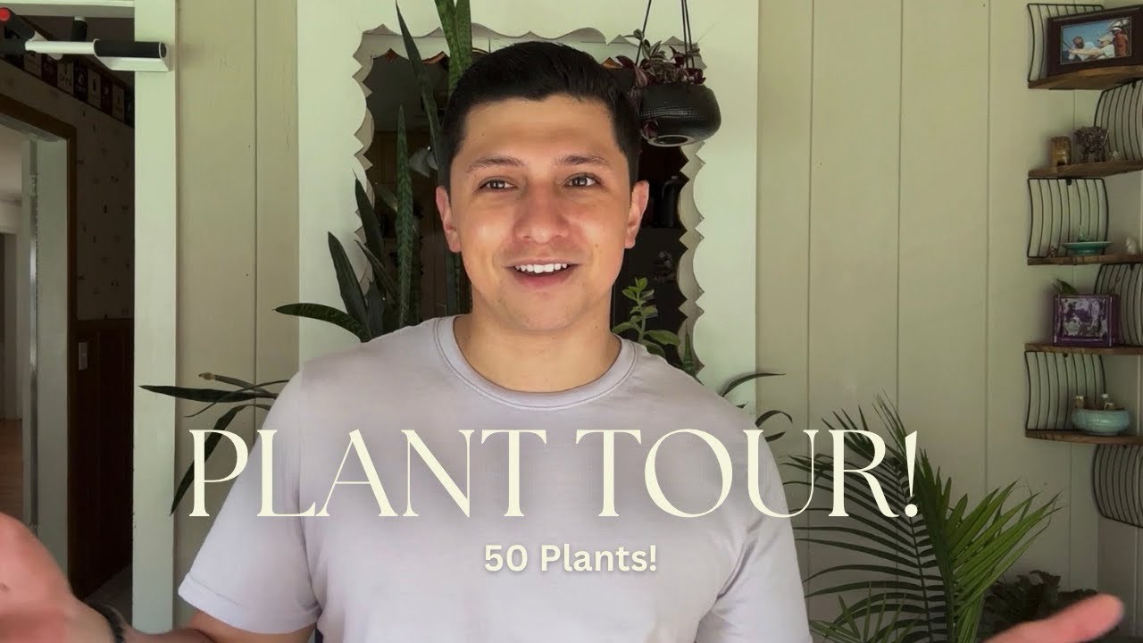 50+ Houseplants Tour 🪴 | My Indoor Jungle as a Green Witch