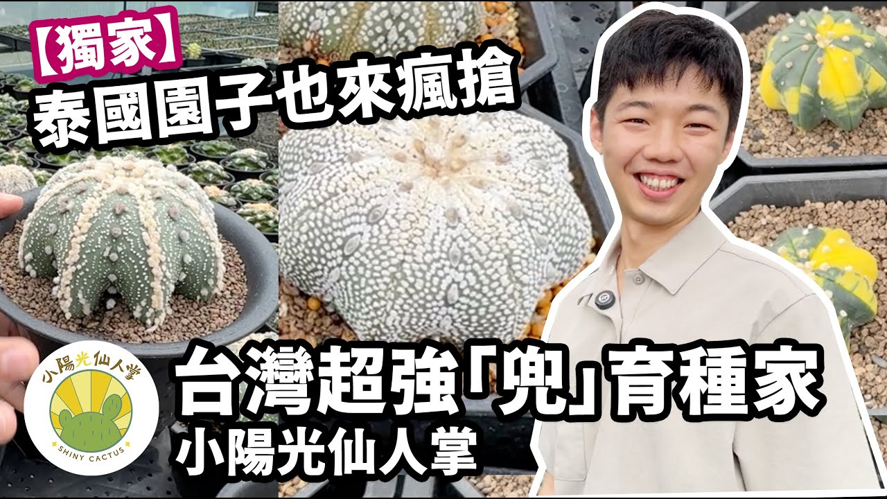台灣超強「兜」育種家！從陽台種到外銷全球！小陽光仙人掌獨家開箱