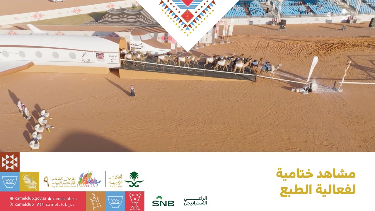 مشاهد ختامية لفعالية الطبع | #مهرجان_الملك_عبدالعزيز_للإبل9