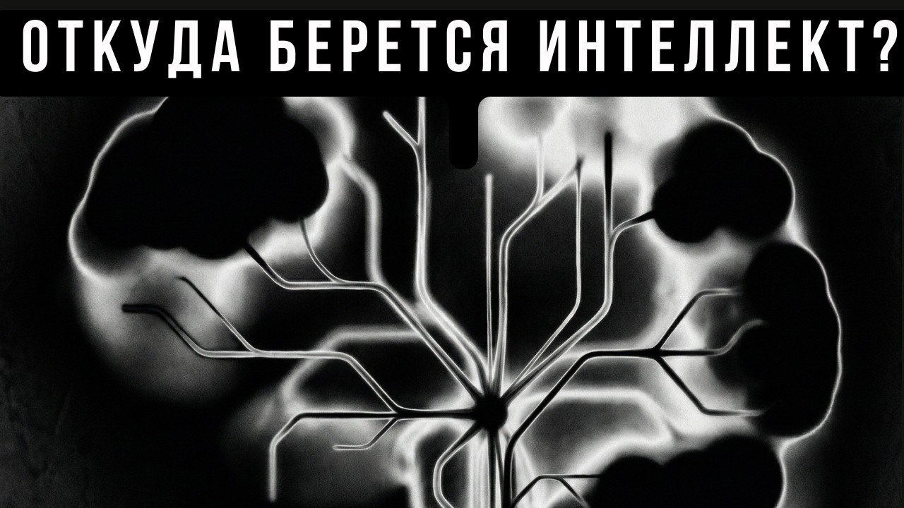 Почему умные люди живут дольше? Откуда берется интеллект? Почему одни умнеют, а другие — нет?