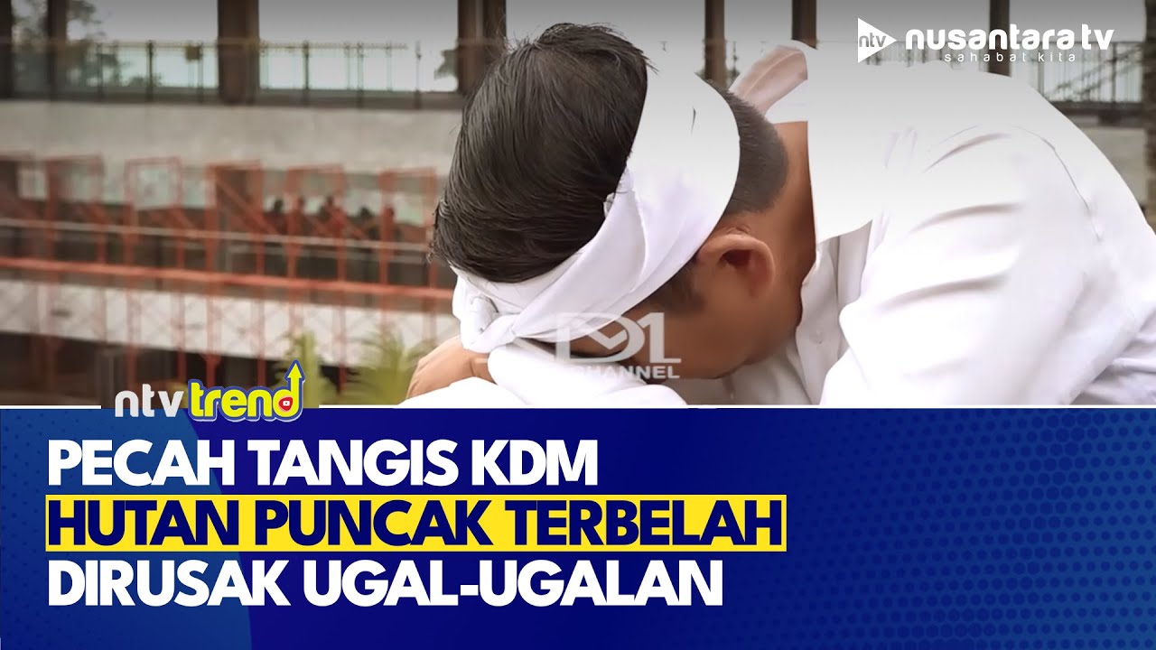 PECAH TANGIS Dedi Mulyadi Lihat Hutan Kawasan Puncak Terbelah, Ugal-ugalan Dirusak Pengusaha | NTV