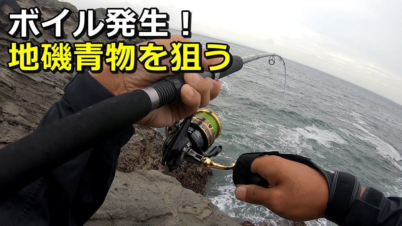 地磯初挑戦！陸から青物狙ってルアー釣りしてみたら...【三浦半島】