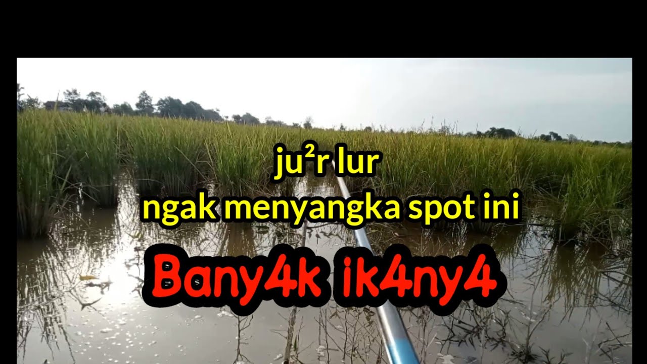 Dapat spot yang tak terduga tarikanya