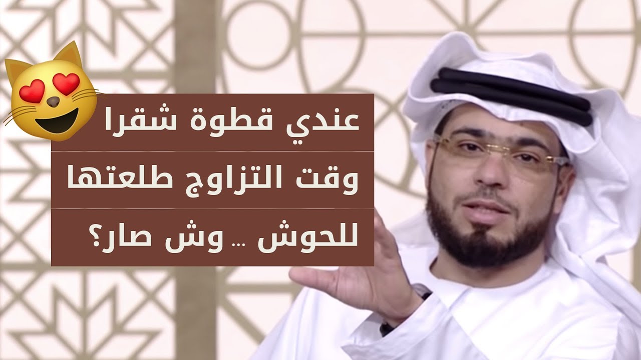 قطتي تطلب التزاوج هل أعمل لها عملية تعقيم؟ شاهد رد الشيخ وسيم يوسف