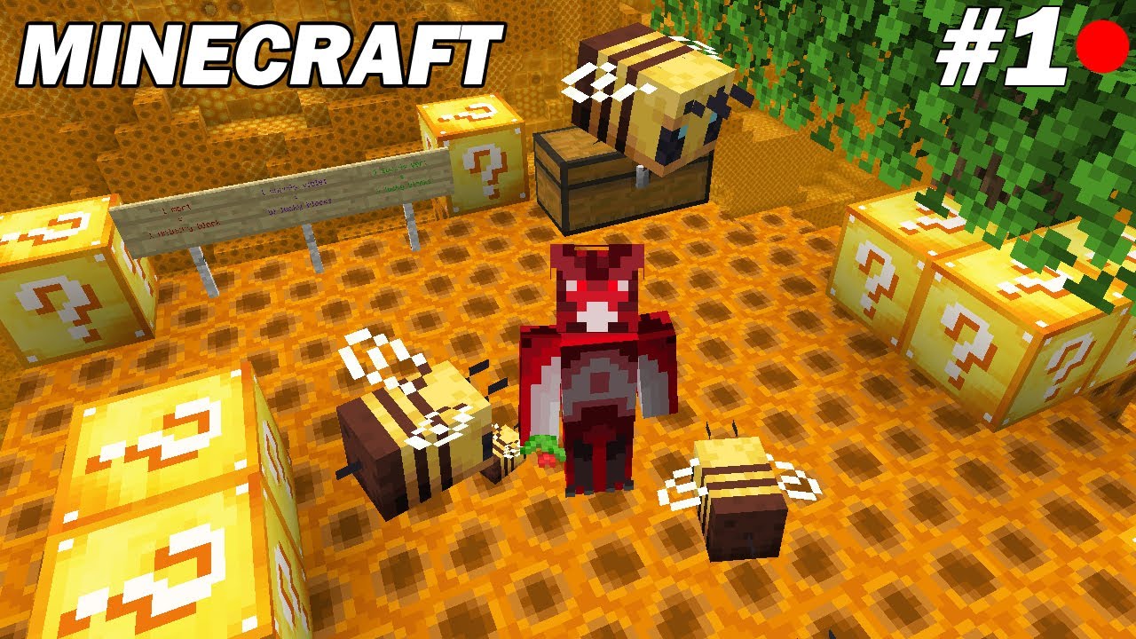 Je dois survivre dans un nid d'abeille avec des lucky blocks ! Minecraft Lucky Block EP 1