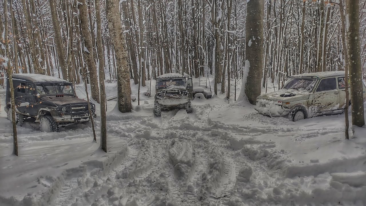 Різдвяний виїзд в засніжений ліс