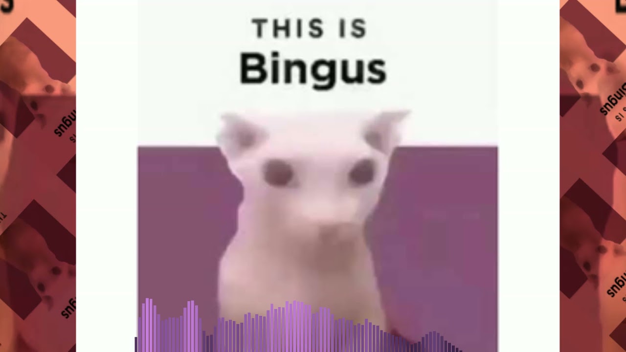 BINGUS TYPE BEAT