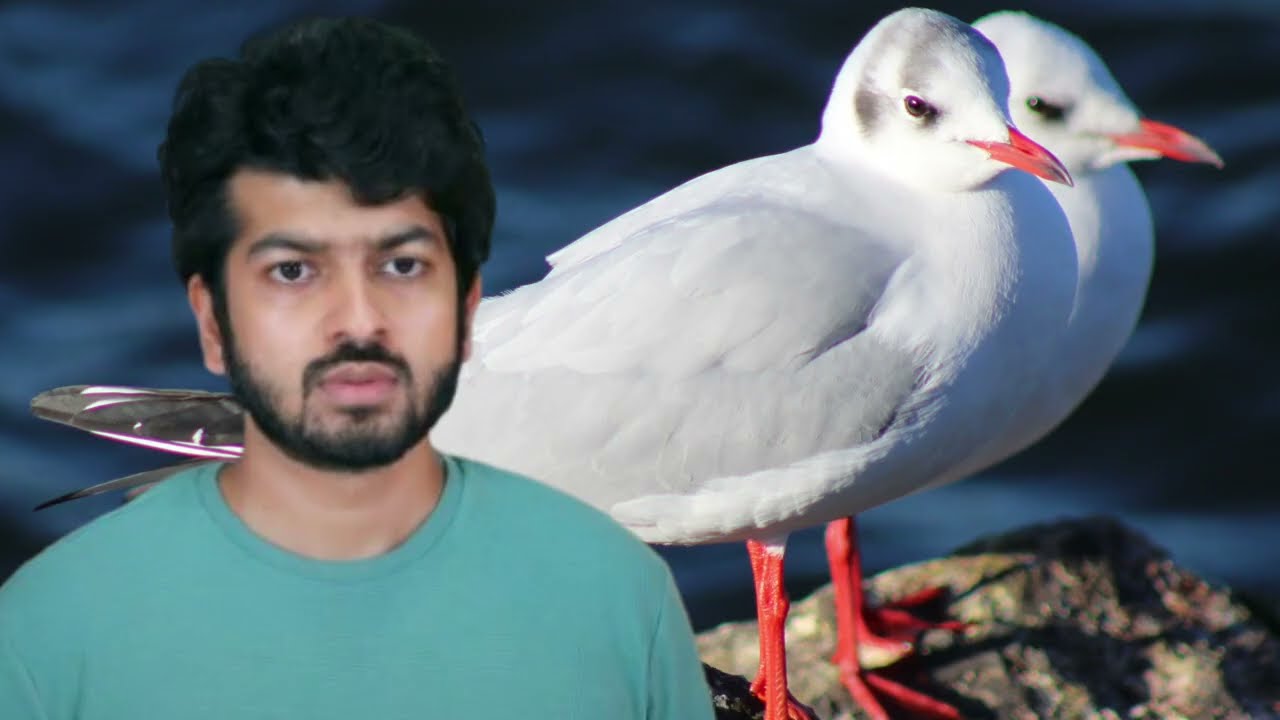 Pandian Store 2 Serial Upcoming Episode Review February 20th | 2026
