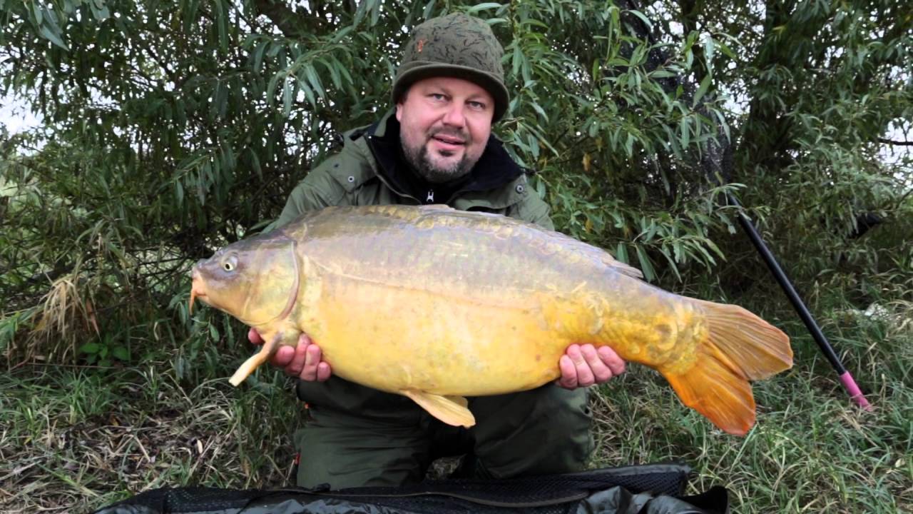 LAC DU DER 2015 - JET FISH