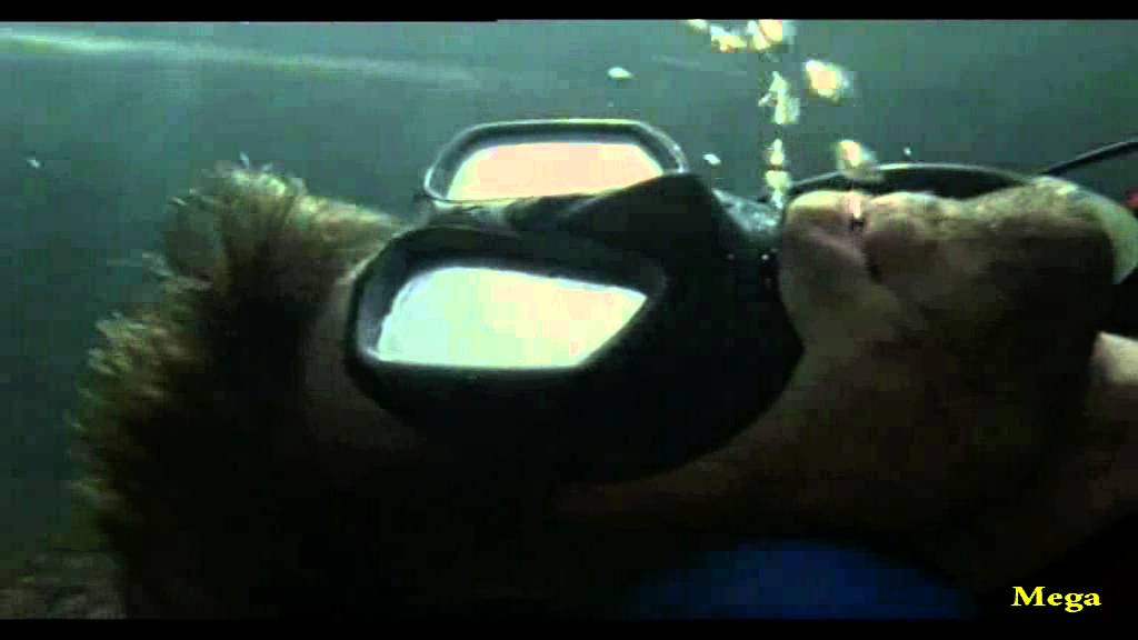 Red Water - Scuba Scene