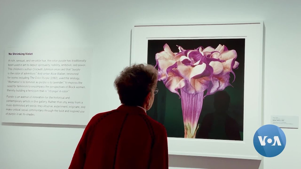 National Museum of Women in the Arts Reopens in DC | VOANews