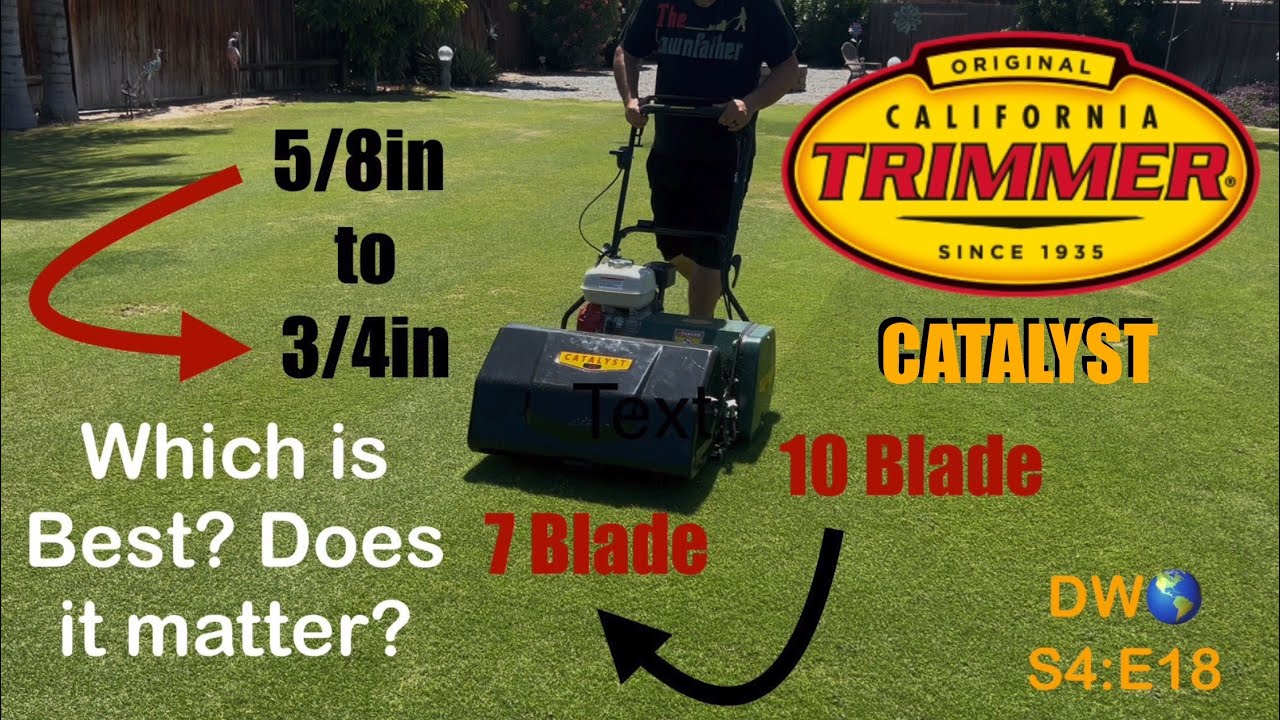 Which is Best? 5/8in. ➡️ 3/4in. & 10 Blade ➡️ 7 blade. DW🌎 S4:E18 #reelmower