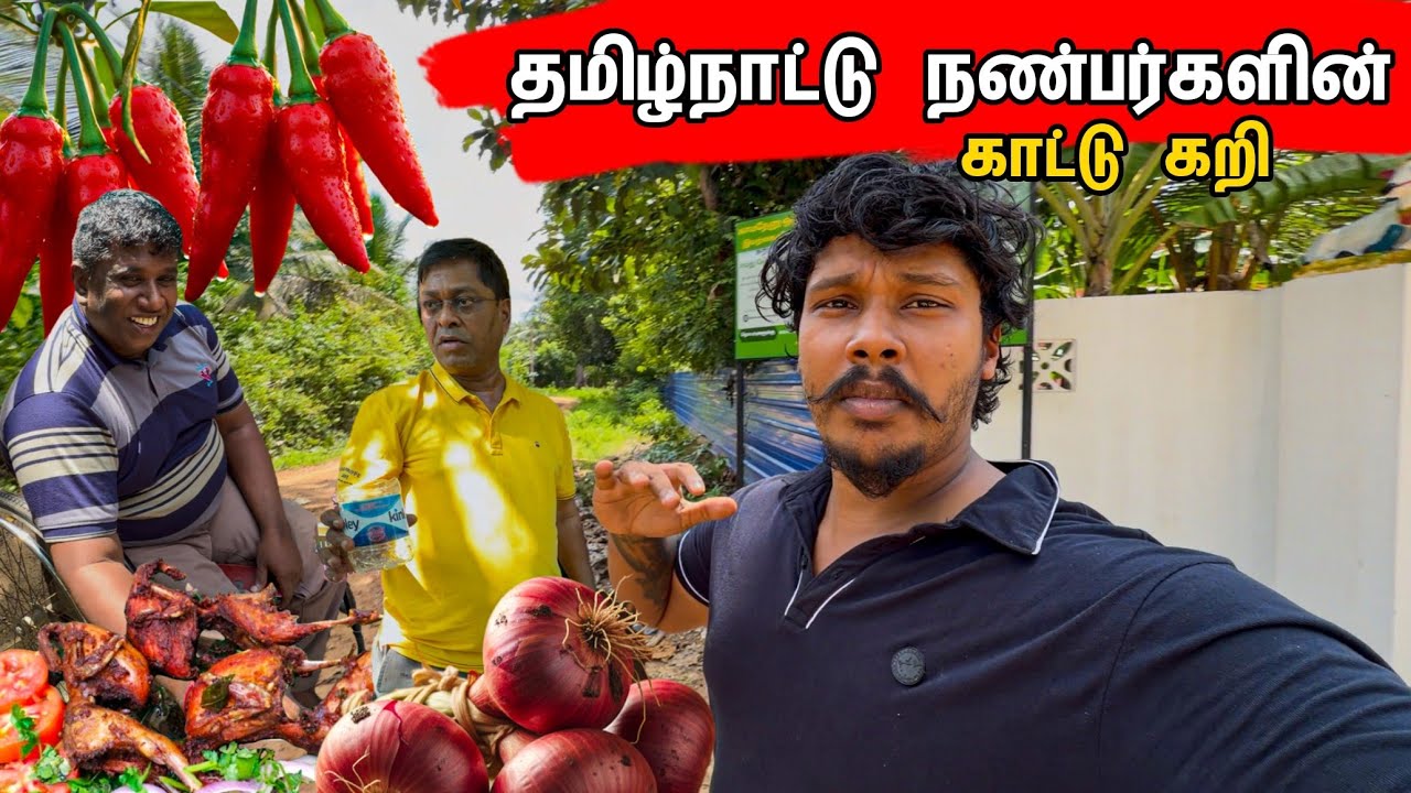 சுவிஸ் அண்ணாவின் பண்ணை காட்டு சமையல் 😱 / Tamil bros 