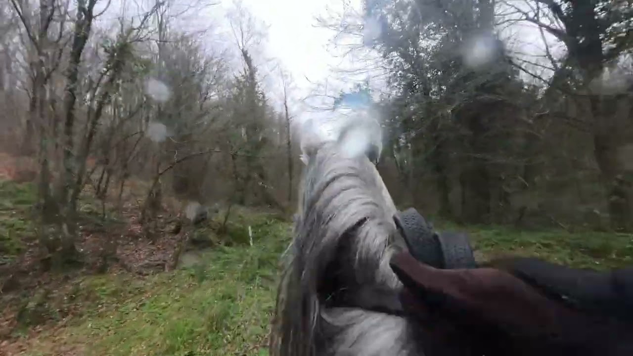 Riding Through Rain & Mud | Group Horse Riding in the Forest (Part 2)