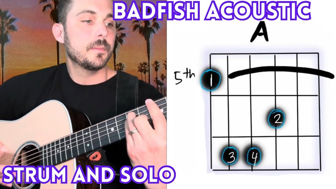 Play Badfish by Sublime on Acoustic Guitar | Easy Solo + Strum Tutorial