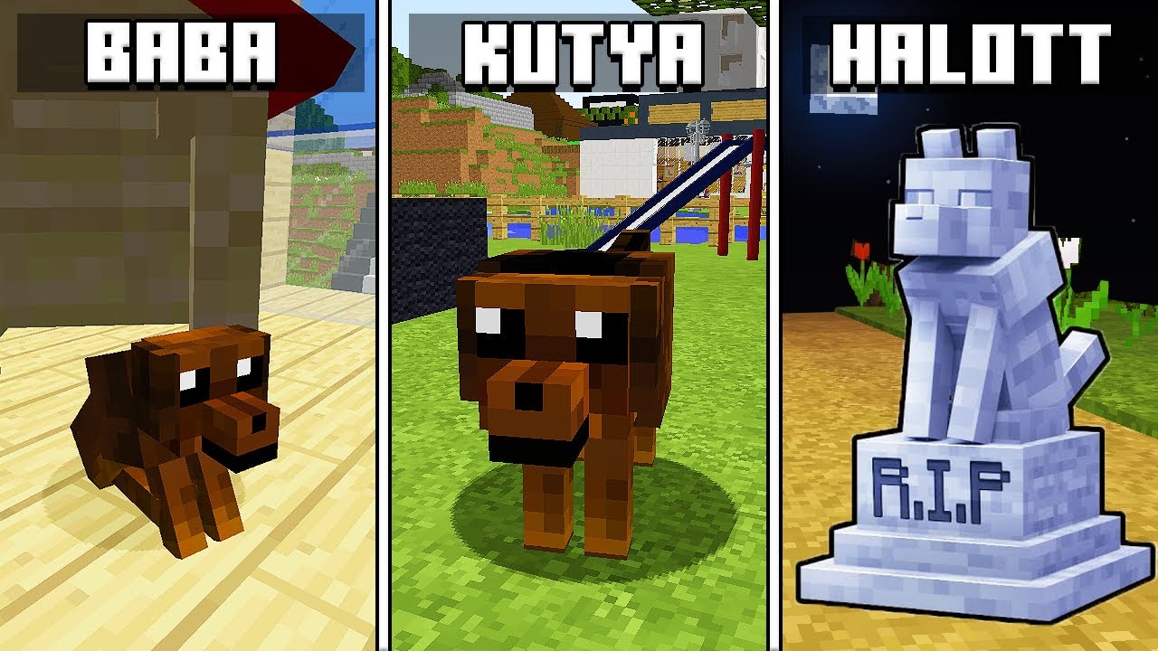A KUTYA ÉLETE SZÜLETÉSTŐL A HALÁLIG A MINECRAFT-BAN! 😱