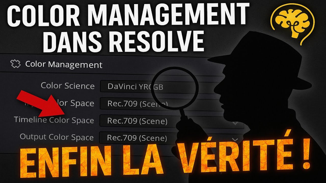 COLOR MANAGEMENT : DAVINCI RESOLVE : ACES vs DWG ? + Une Lut (LMT) OFFERTE en ACES KODAK 5219vision3
