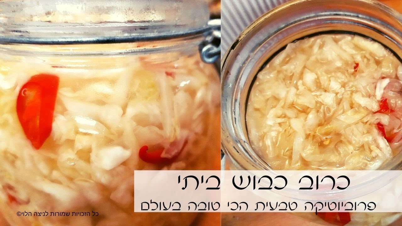 איך להכין כרוב כבוש ביתי - פרוביוטיקה טבעית הכי טובה בעולם😍
