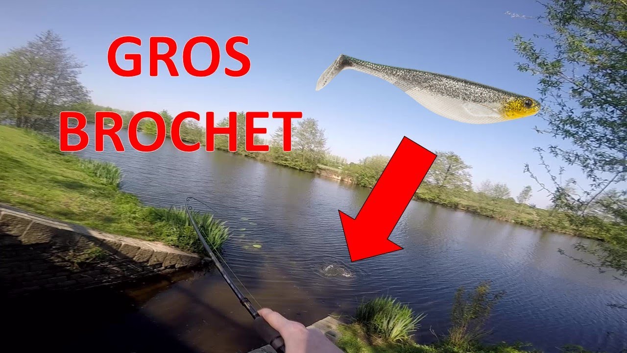 Comment j'ai capturé ce GROS BROCHET ?