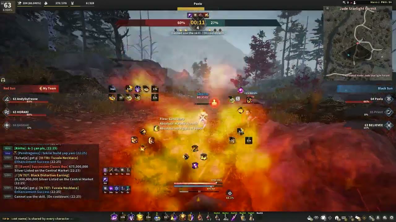 Our Accuracy Is Fine | BDO Hashashin AoS