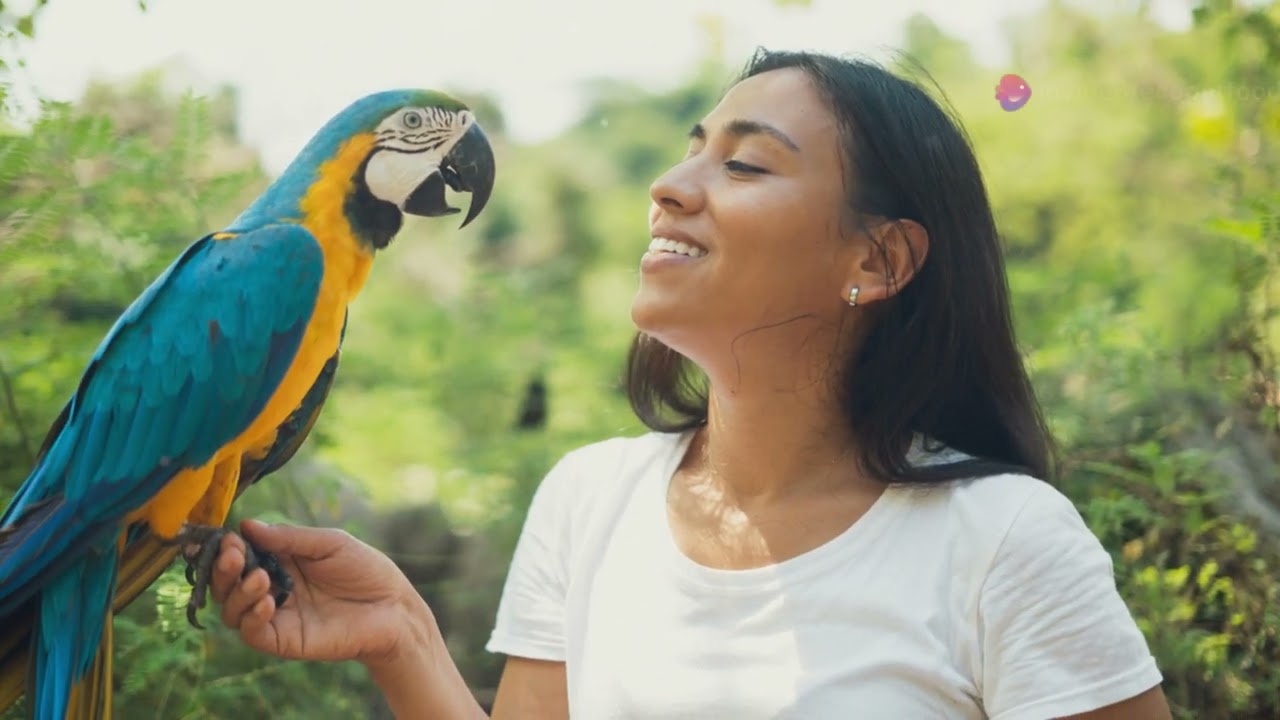 Why Choose Harrison's Bird Foods?