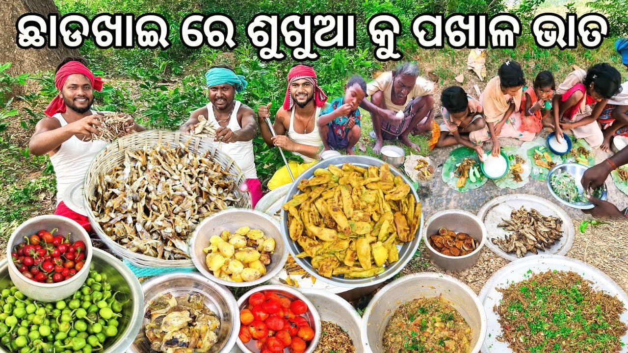 Pakhala Sukhua || ଛାଡଖାଇ ରେ ଶୁଖୁଆ କୁ ପଖାଳ ଭାତ || Water Rice With Dry Fish Mustard paste Fry Recipe.