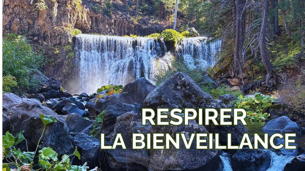 Respirer la bienveillance | Méditation 2 minutes pour apaiser l’anxiété | Pause du lundi