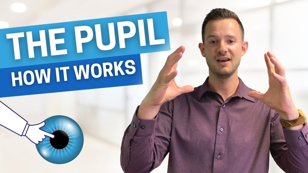 HOW IT WORKS - The Pupil