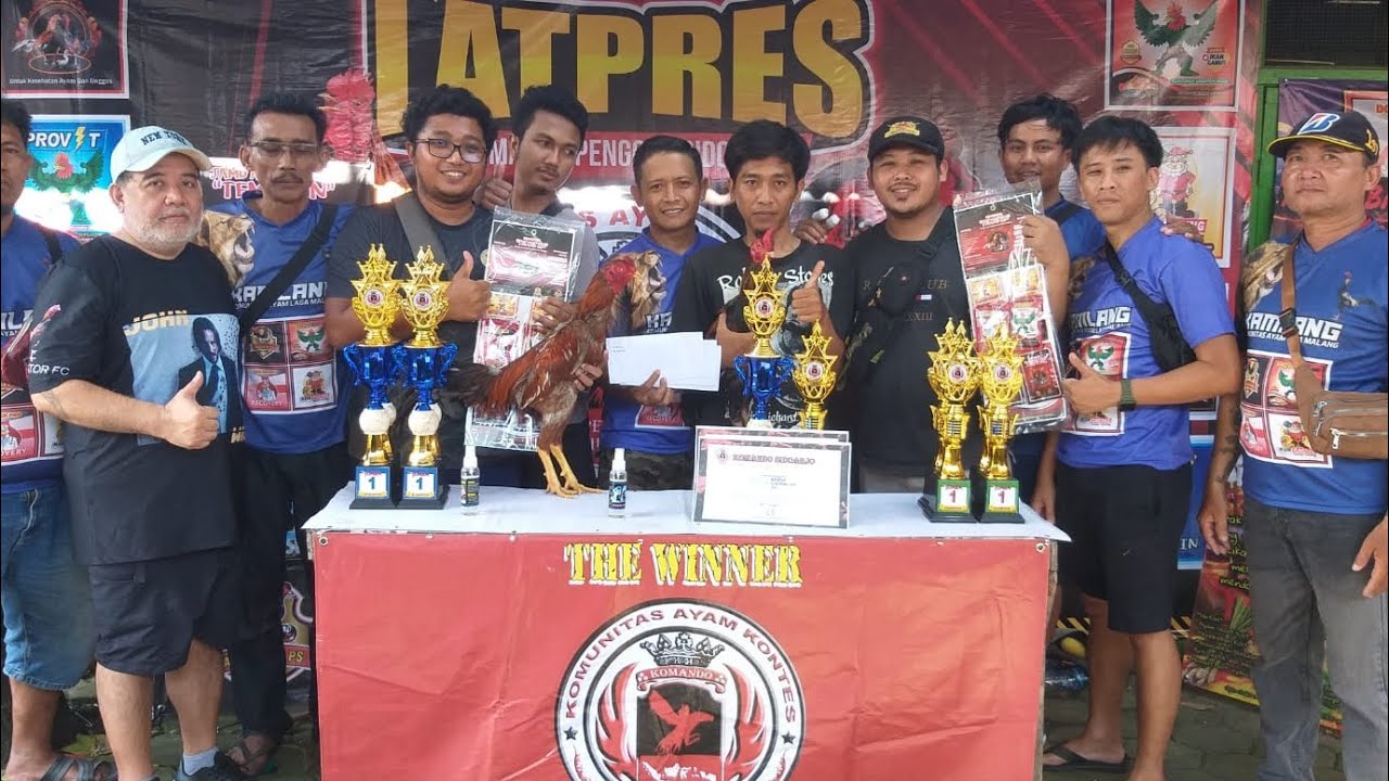 Latpres Komunitas Ayam Kontes Indonesia Pengcab Sidoarjo bersama Jamu Ayam Jago Temujin.