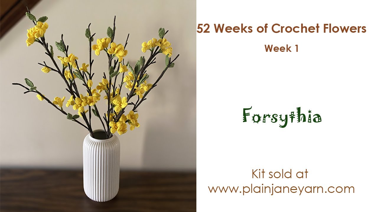 Forsythia Flower Part 1