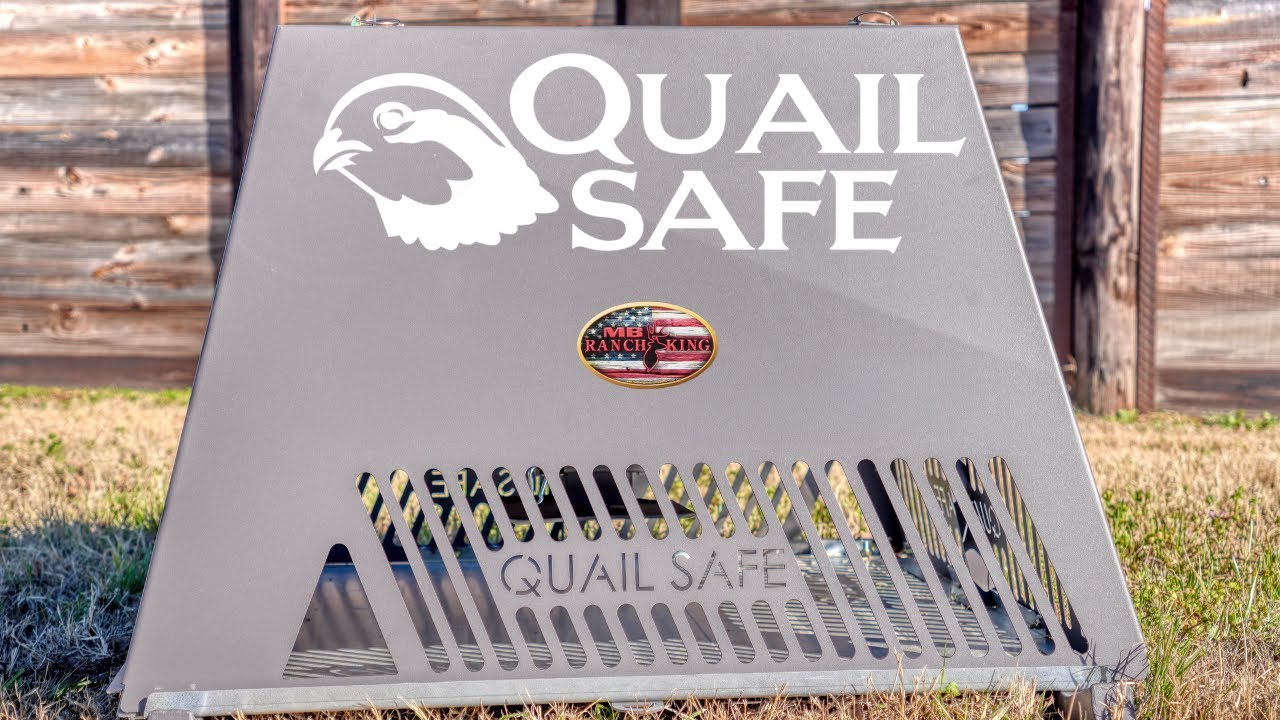 Introducing the Next Generation Quail Safe Feeder – Built by MB Ranch King