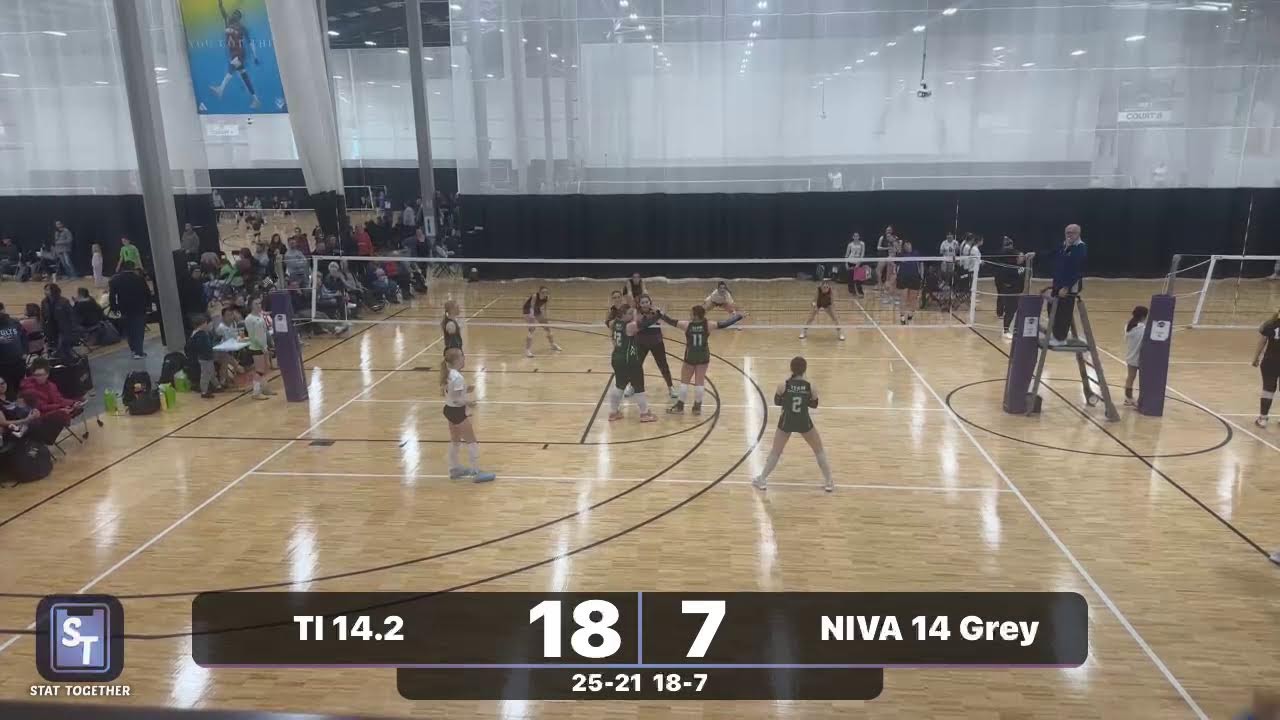 TI 14.2 vs NIVA 14 Grey