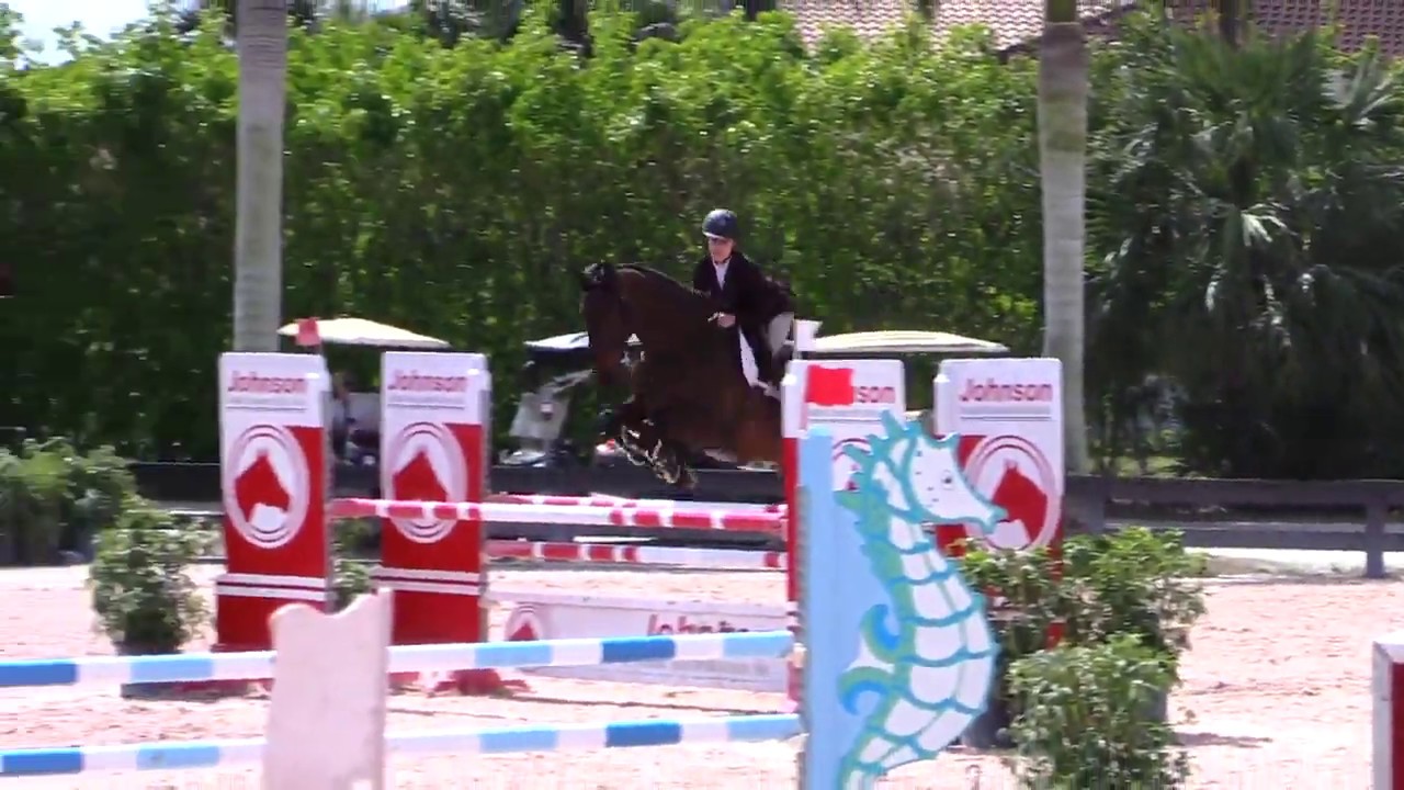 FOR SALE : 2009 KWPN MARE BY JODOKUS X NIMMERDOR (wef2018 115m hv jo)