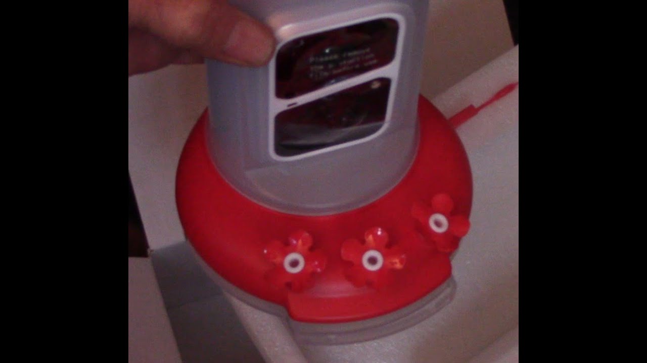 Soliom Hummingbird Smart Camera Feeder #soliom #hummingbirdfeeder #myhumbirdy #birdfeedercamera