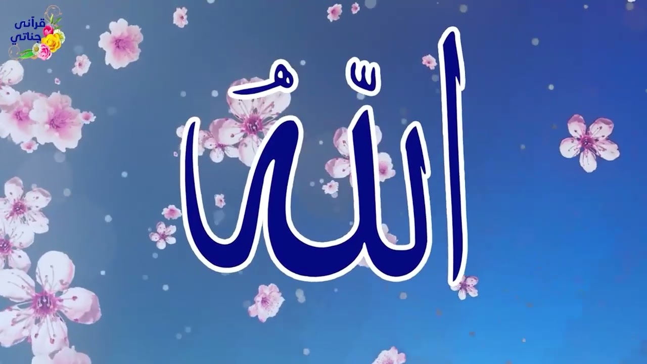 تركت الكل في زهد وجئت إليك يا سندي | أناشيد أسماء الله الحسنى رائعة