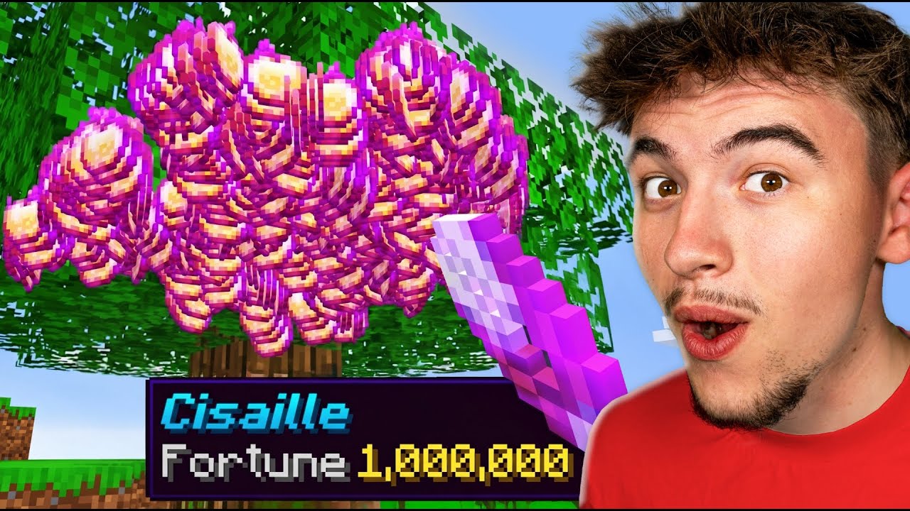 Minecraft, Mais j'ai Fortune Infinie !