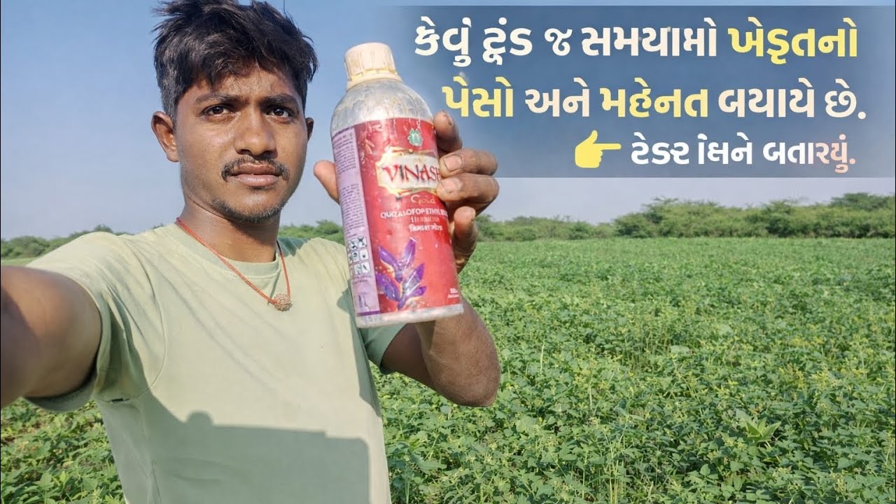 શું આ ઉનારા પાકમાં આ મદદ કરે છે કે નથી કરતી આ પ્રેમી બાટલી જેમકે ગોવાળ ભીંડા અને કો શાકભાજીમાં