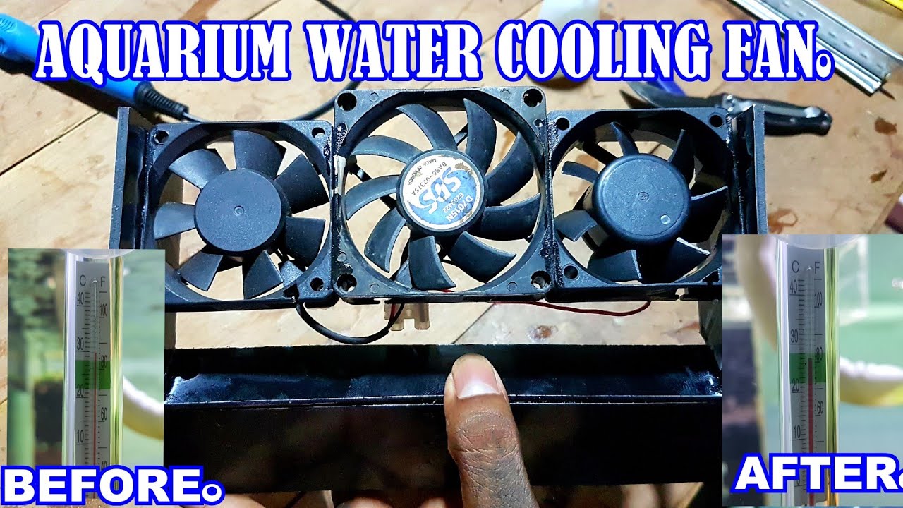 how to make aquarium cooling fan at home/NP AQUA SL