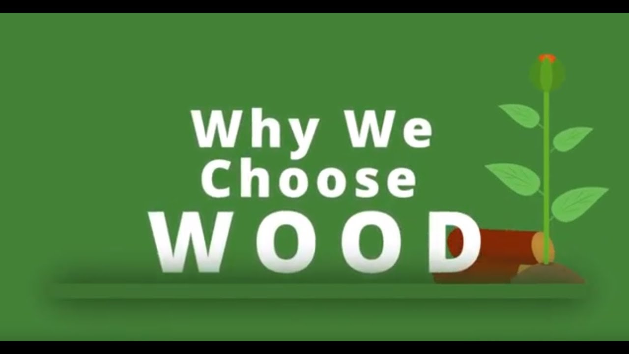 Why We Choose Wood