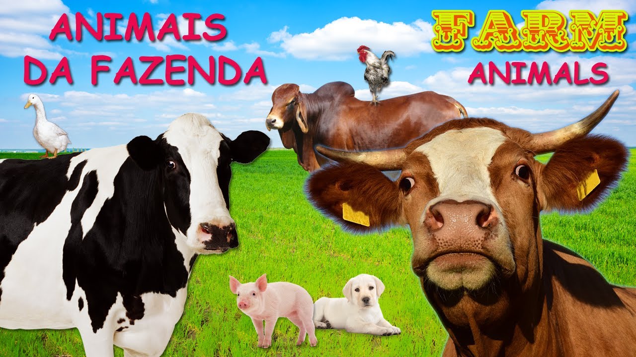 COW MOOING SOUND - Cows Mooing - FARM ANIMALS