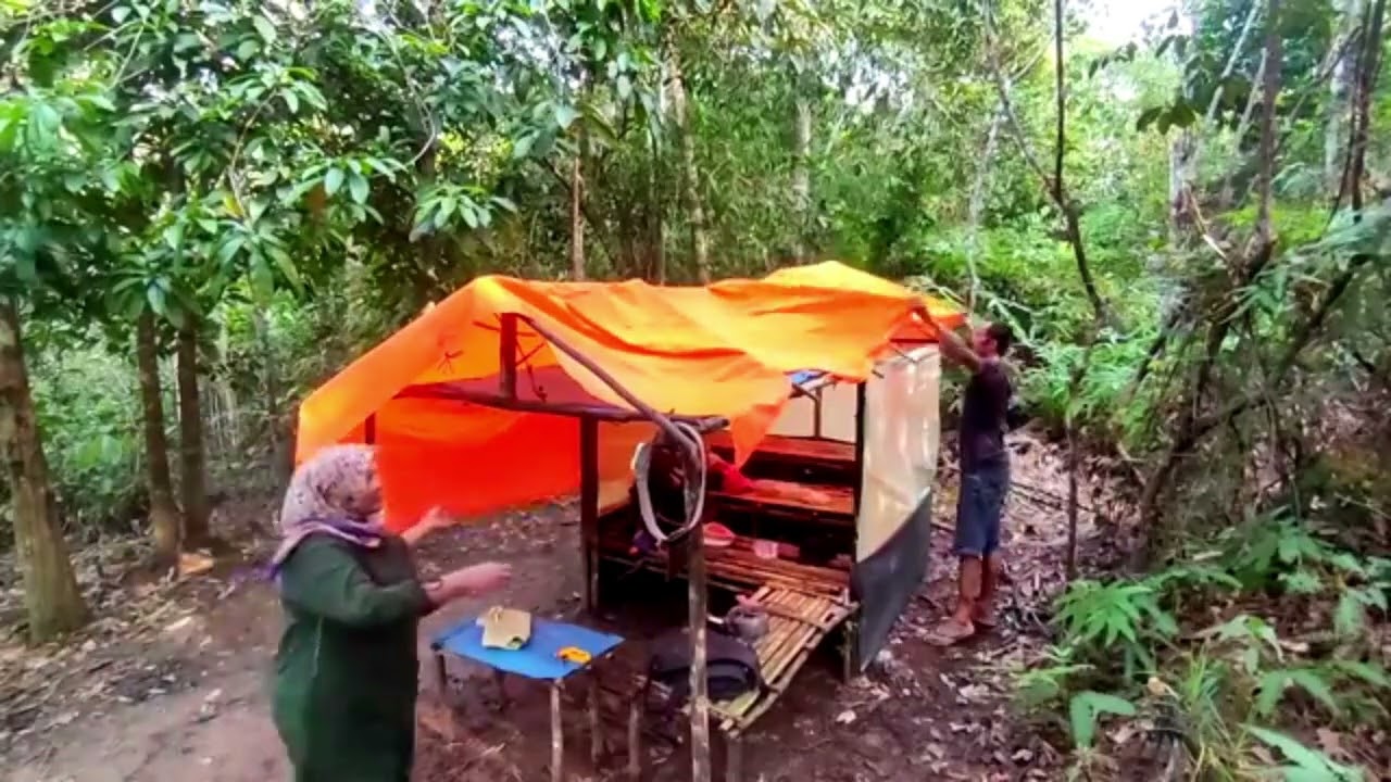 Camping diguyur hujan deras saat menginap di hutan Sumatra bersama istri