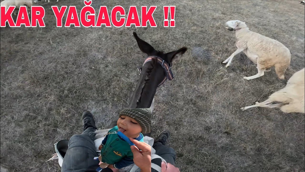 KAR MI YAĞACAK ? NİŞANLIK GELDİ ! 3D YAZICI DENEMESİ..ENİŞTE