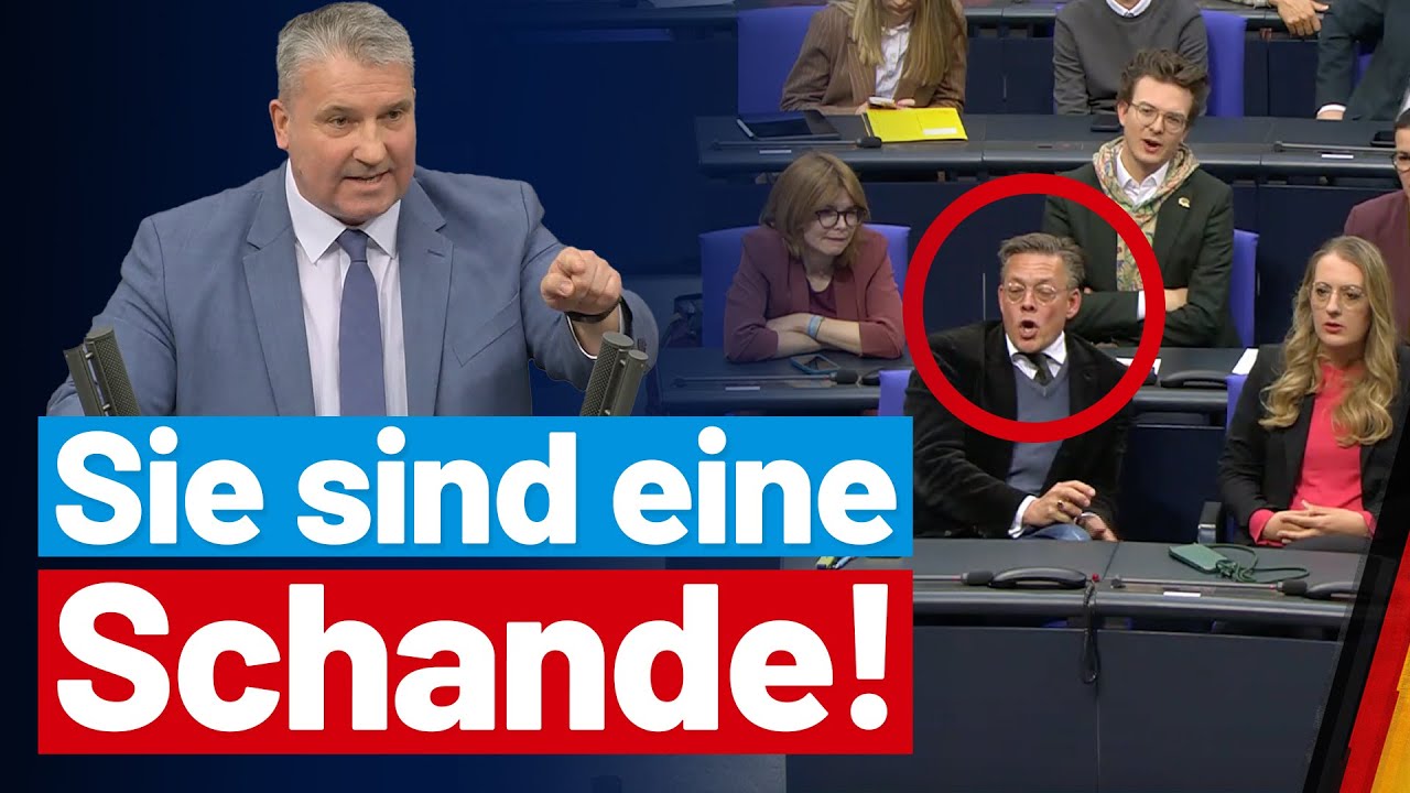 Martin Hess knöpft sich Grünen von Notz vor❗️ - AfD-Fraktion im Bundestag