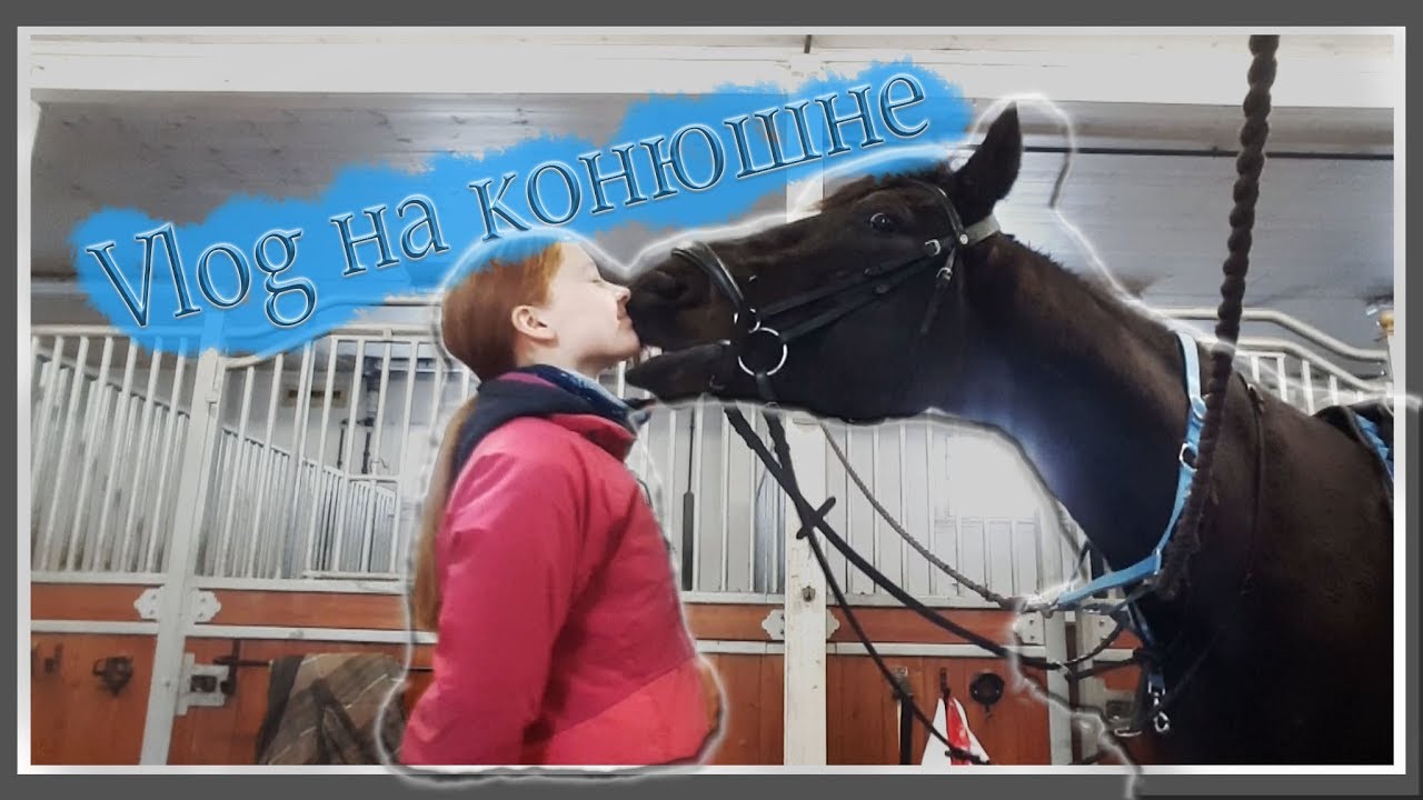 VLOG: С конюшни || ВЛОГ